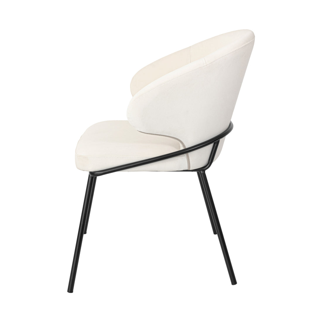 Silla Palma pata negra Vista Lateral